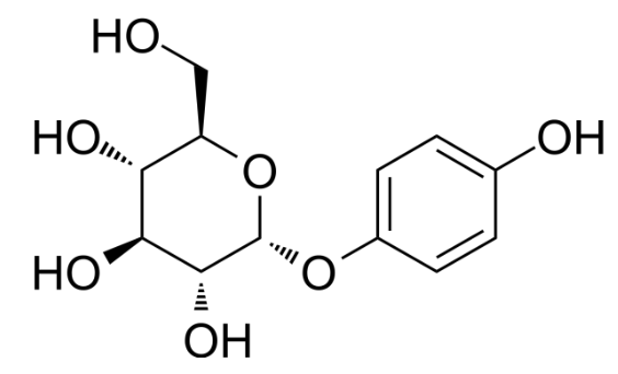β-Arbutin Structure